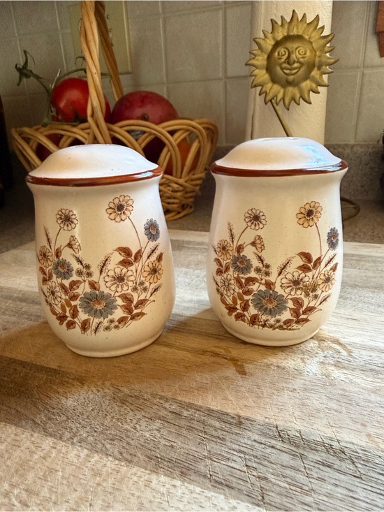 Other - 1970 Gardenia Stoneware Salt & Pepper Shakers Set